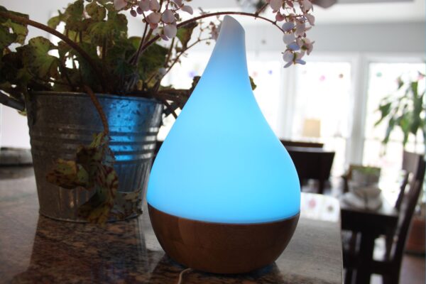 EcoGecko Essential Oil Diffuser Aromatherapy Oil Diffuser Solid Wood Bamboo Wood with Glass Top, Ultrasonic Cool Mist Oil Diffuser with Soft Color Changing Lights, Waterless Auto Shut-off  - Image 7