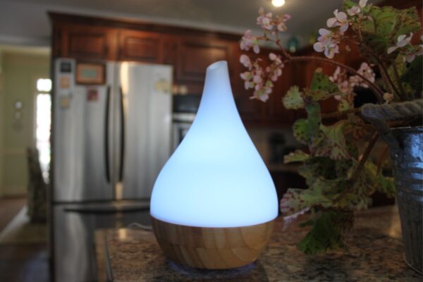 EcoGecko Essential Oil Diffuser Aromatherapy Oil Diffuser Solid Wood Bamboo Wood with Glass Top, Ultrasonic Cool Mist Oil Diffuser with Soft Color Changing Lights, Waterless Auto Shut-off  - Image 4