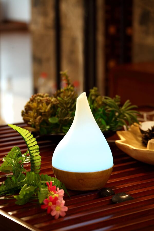 EcoGecko Essential Oil Diffuser Aromatherapy Oil Diffuser Solid Wood Bamboo Wood with Glass Top, Ultrasonic Cool Mist Oil Diffuser with Soft Color Changing Lights, Waterless Auto Shut-off  - Image 2