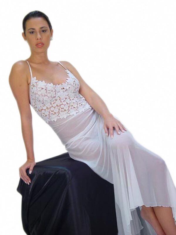 Flirtzy SpicySpot Sheer Fabric Gown with Angle-Cut Lace Bodice and Matching Thong - Image 4